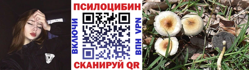 Псилоцибиновые грибы Psilocybe  блэк спрут   Никольское 